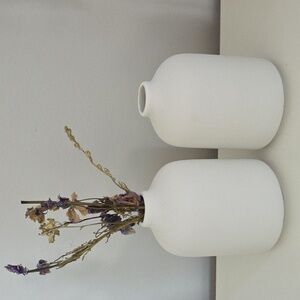 Minimalist White Ceramic Vases